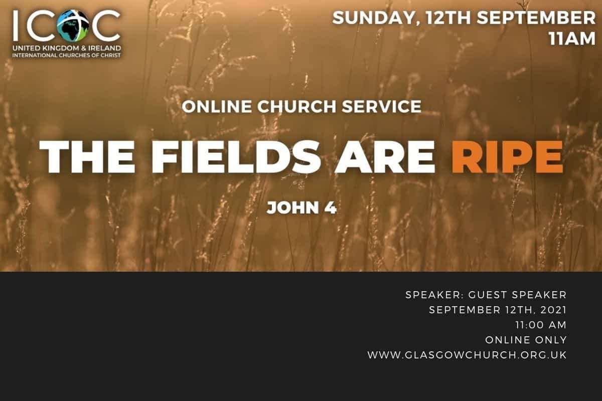 the fields are ripe sermon